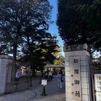 次、もうちょいおかわり行きます。