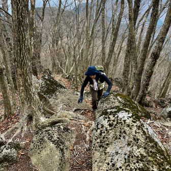 きょんちゃん、軽々と登ってきます👍