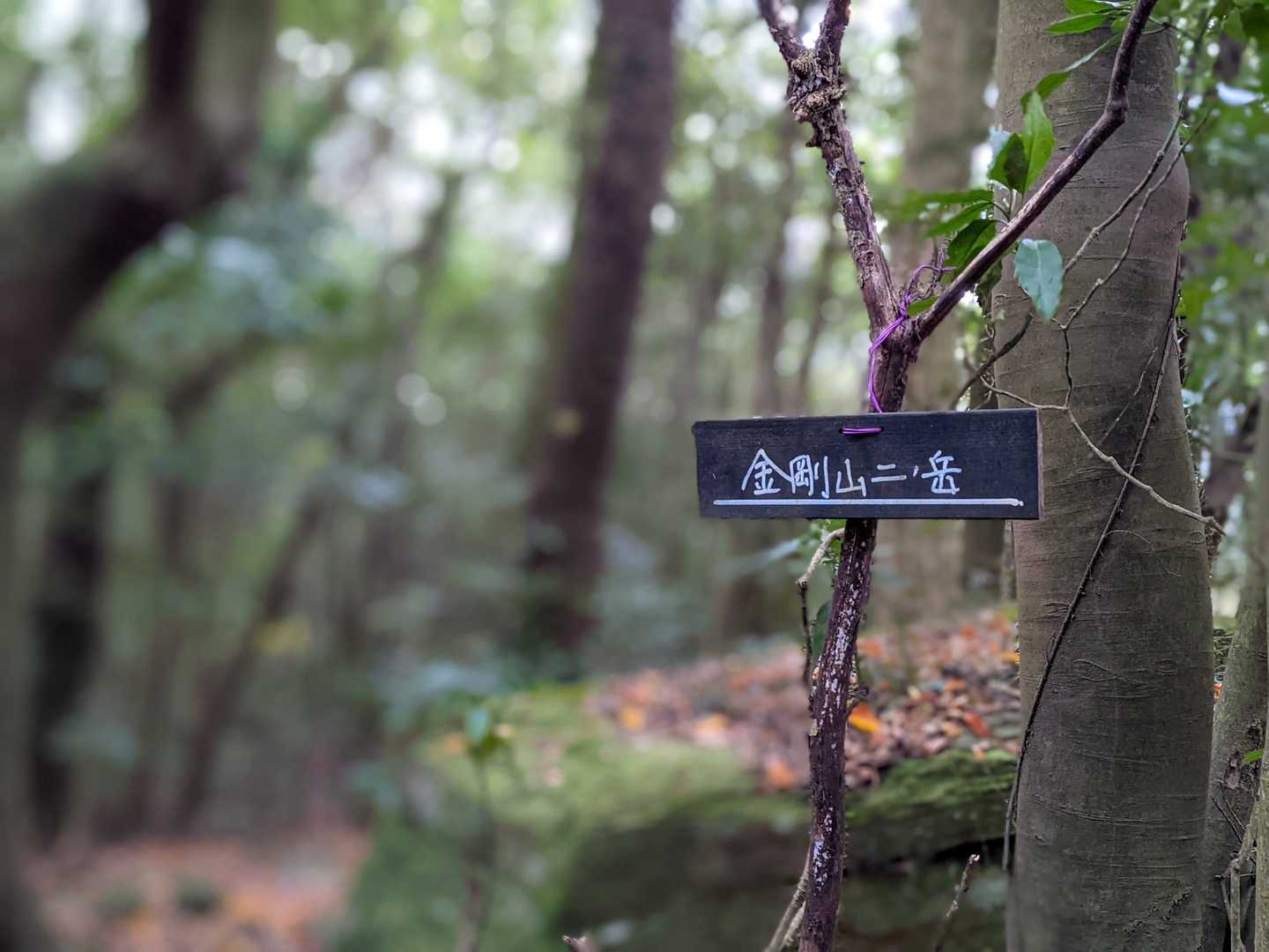 二ノ岳。
