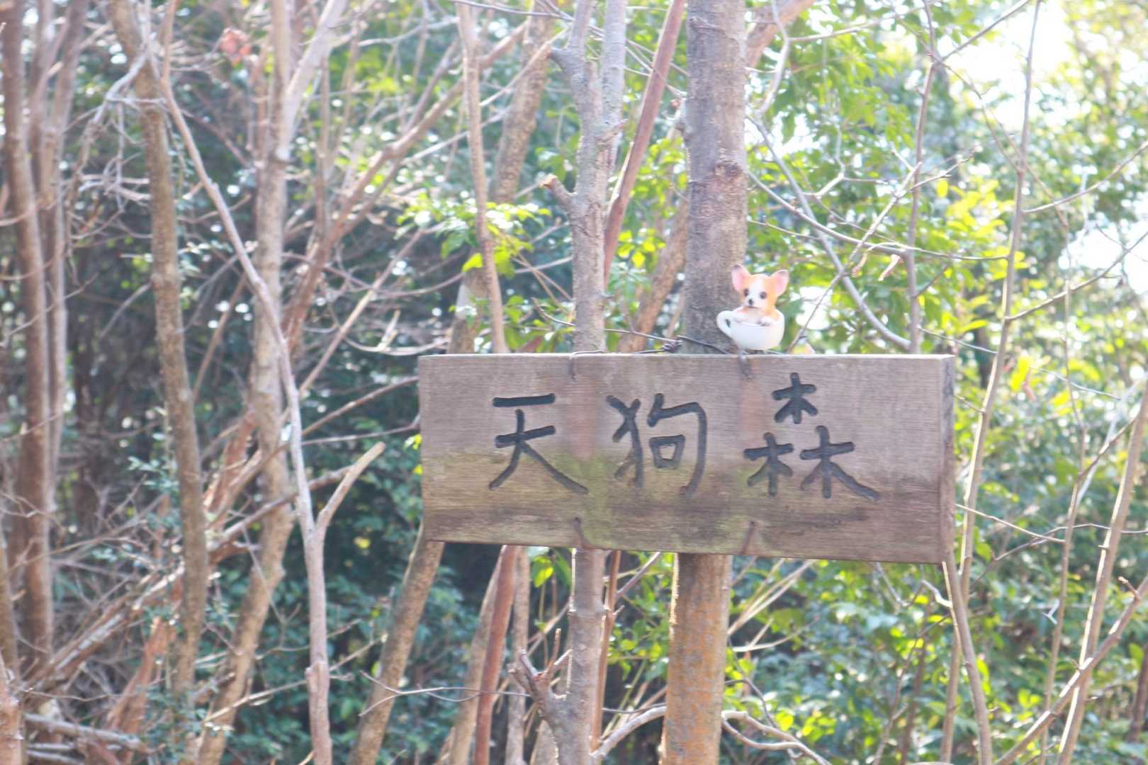 唐谷峠-大谷山-龍王山-金見山 周回コースの写真