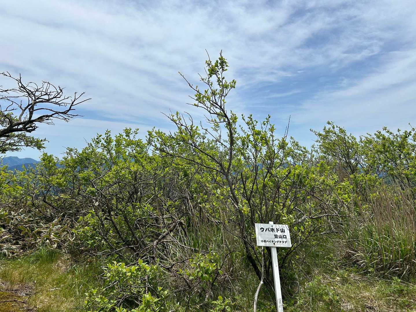 ウバホド山登山口
行こうか迷ったけど取り付きから薮模様
やーめた😂