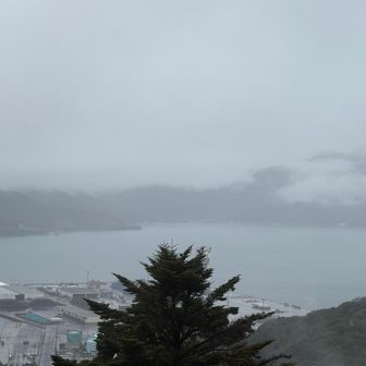 雨☔で真っ白🤍の違った意味のホワイトクリスマスです〜🤶🎄