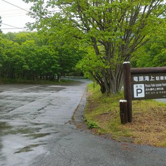 雨はとりあえず止んだ
竜頭の滝上駐車場
トイレなし
誰もおらずボッチ