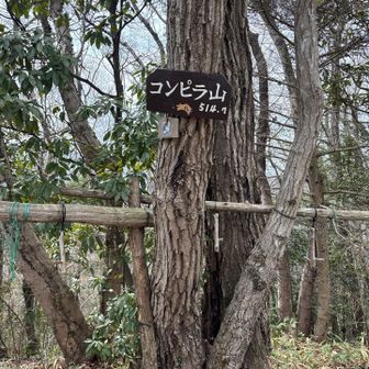 コンピラ山山頂