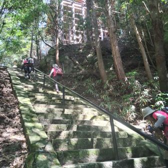 上👆を見上げると懸け造りの本堂が❗見たかったヤツ❗🤩