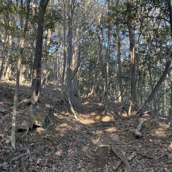 まずは ボチボチゆっくり
