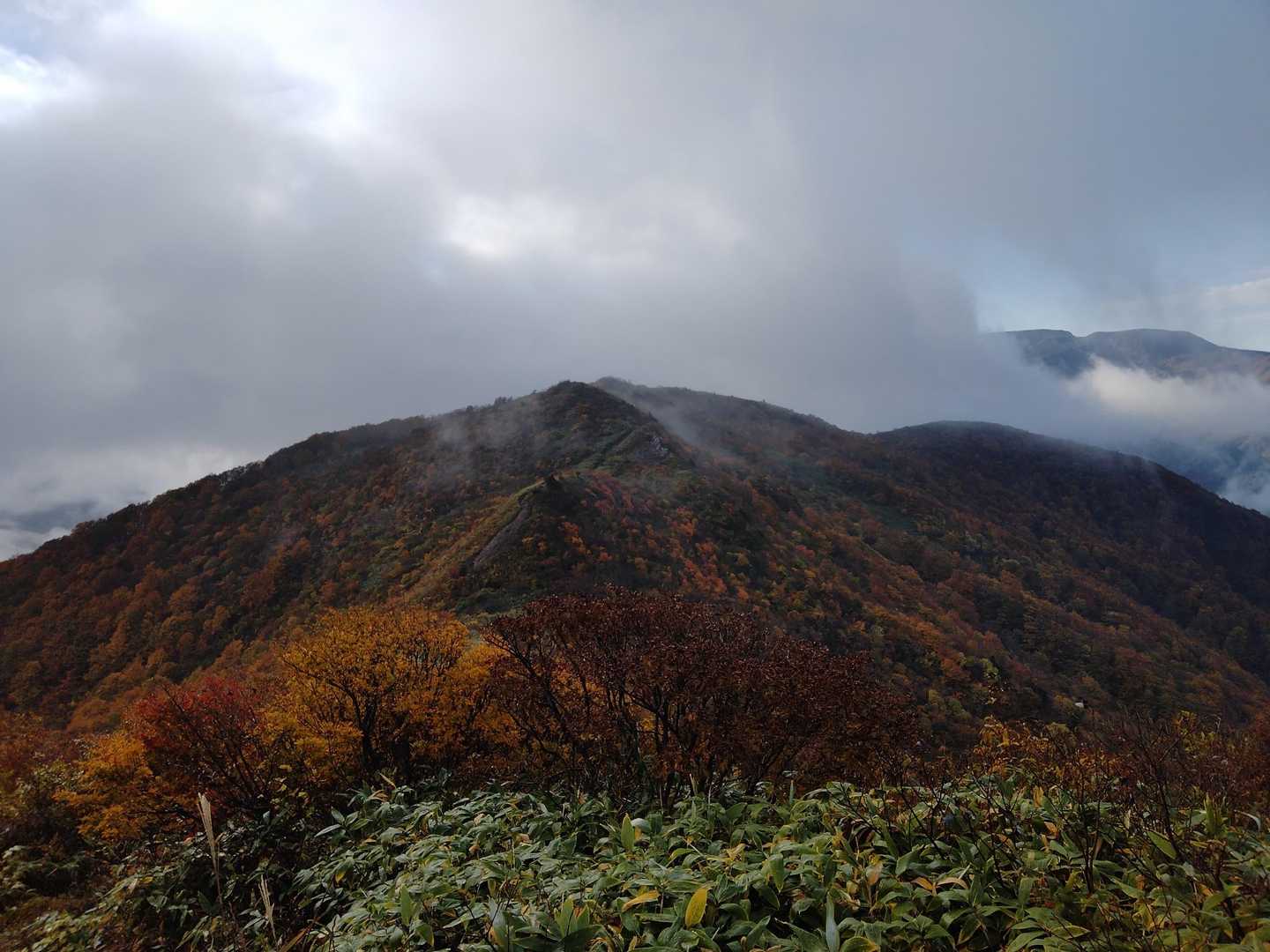 大関山-ハマグリ山-トンガリ山 往復コースの写真