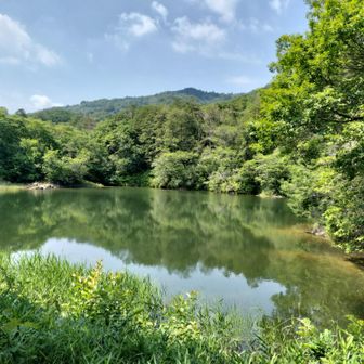 鏡登山口BSスタート🚶‍♀️ここは大谷池😌