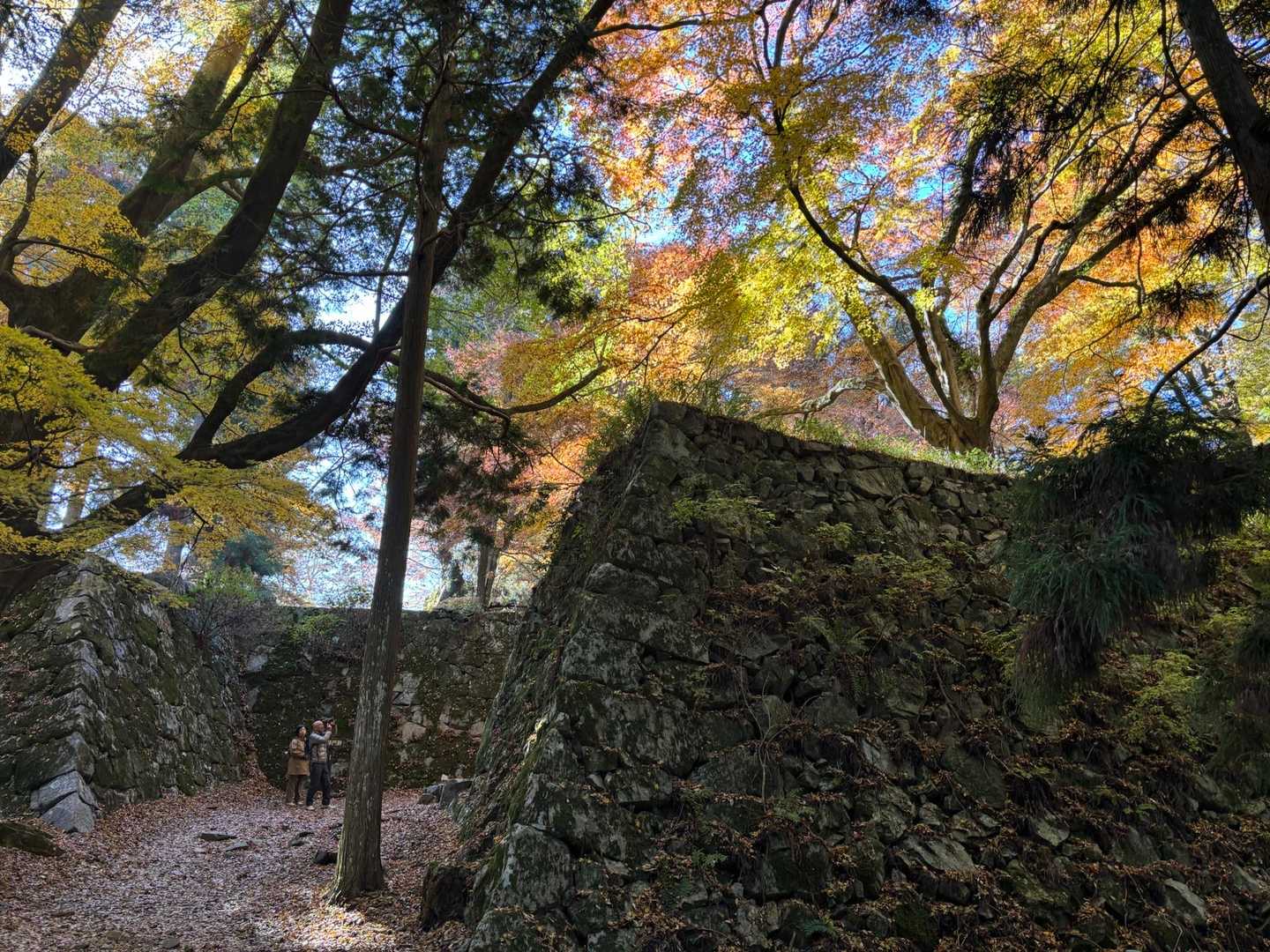 壺阪山駅-高取山-高取城跡入口-高取城登山道入口-壷阪寺前 周回コースの写真