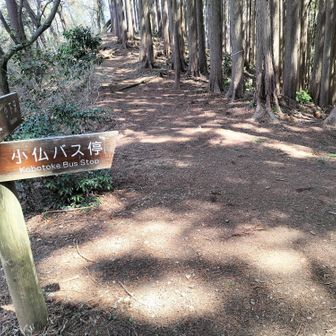 膝が痛み始めたころ。