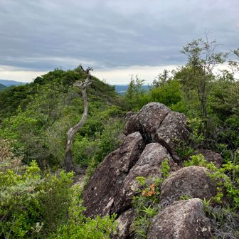 なかなかおもろい岩山歩きを経て、数曽寺谷へザレザレの急斜面を、骨粗鬆症ジーちゃん、尻餅付かんように、超慎重に下ります。

今日の山行で、一番気を使った下り箇所でした💦💦💦