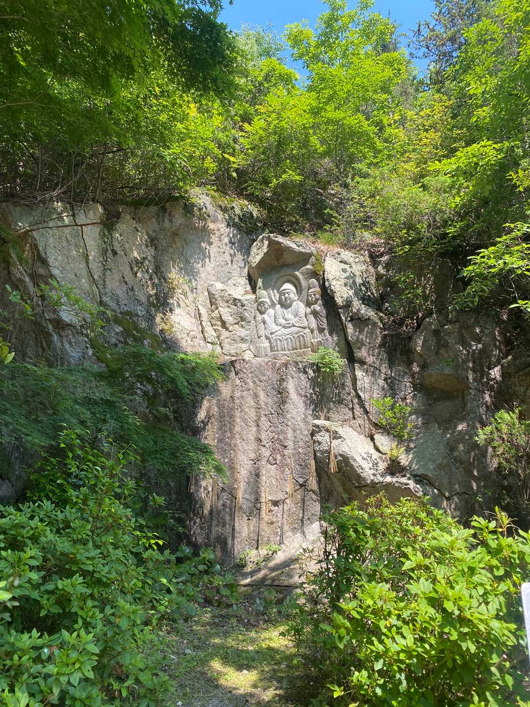 笠松山 周回コースの写真
