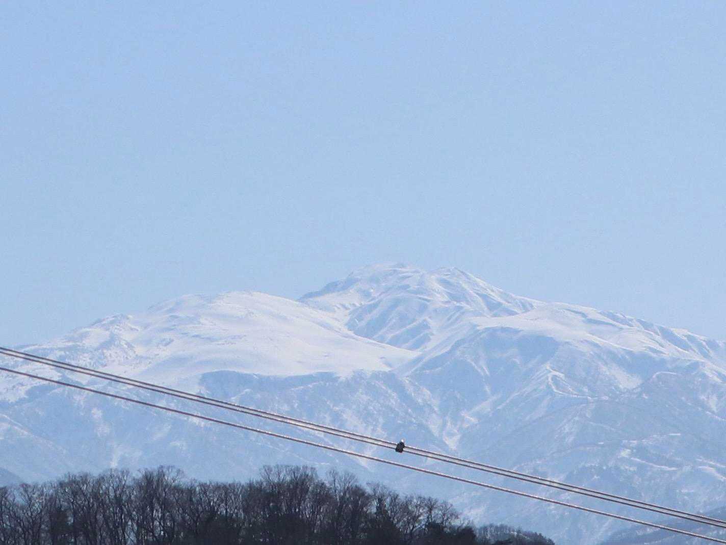 白山ズーム
真っ白ですね🤍
