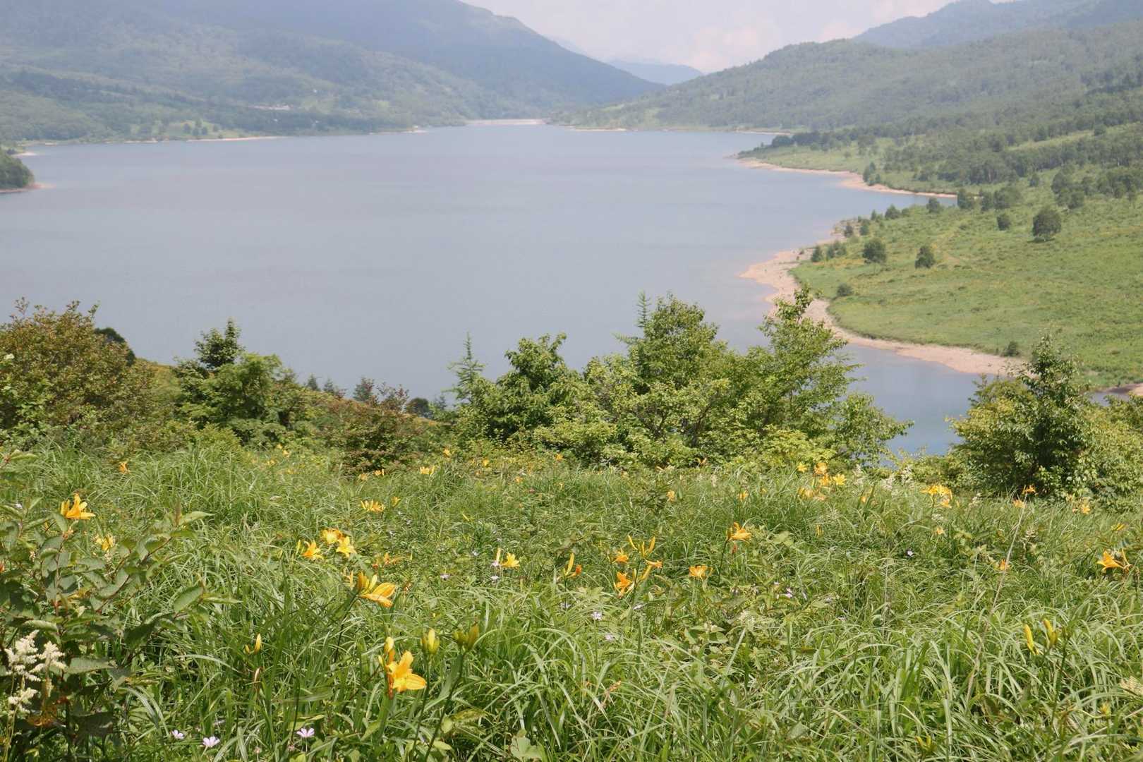 湖畔 