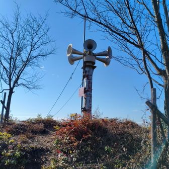 けん玉のでかいやつ