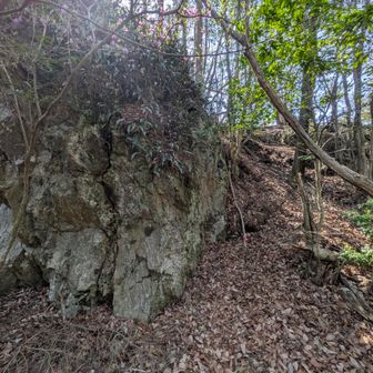 長坂峠から高峰山の取り付き！