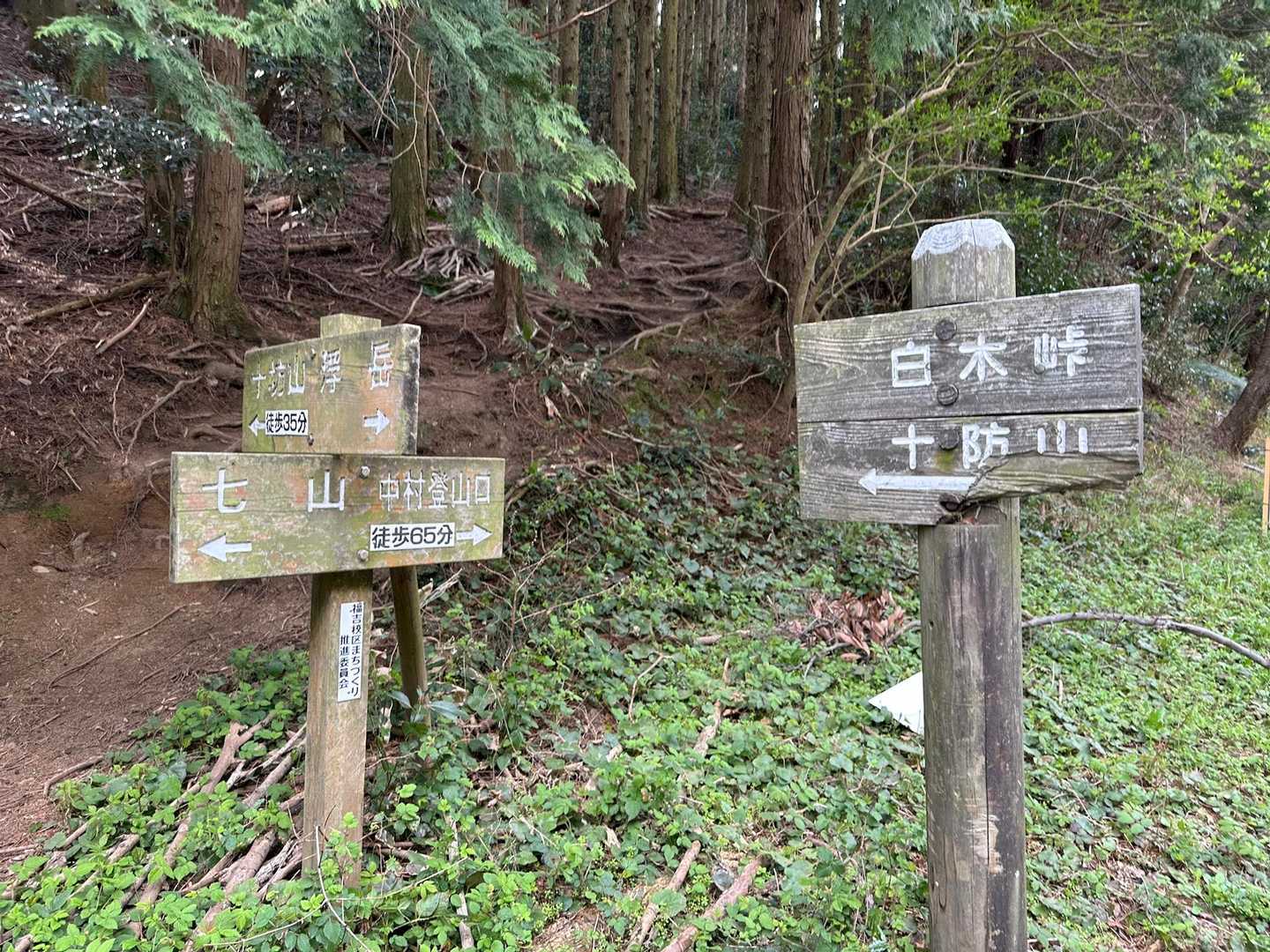 この地点で歩行距離 約11km
あと6km 😆