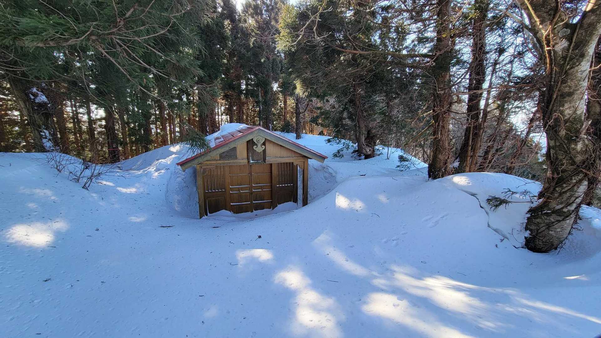 山頂の雪はこの程度
