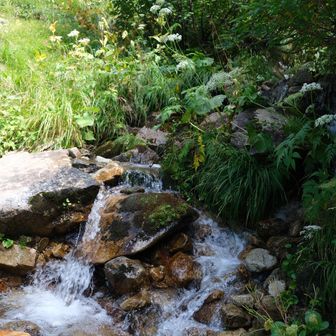黒部源流碑の手前の水場。お水は冷たくてものすごく美味しくて感動しましたが、後で、三俣山荘の水場の方が上流にあることに気づきました。