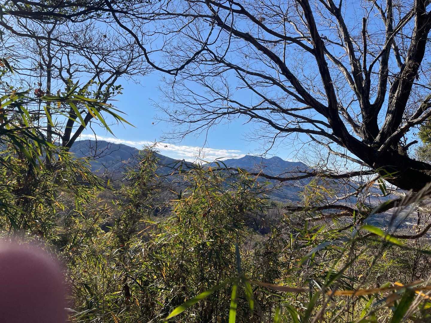 下山終盤にようやく筑波山が見えた