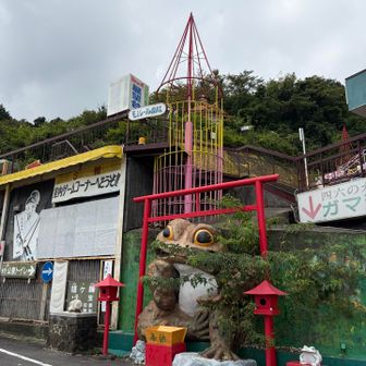 湿度が高い〜
💦


