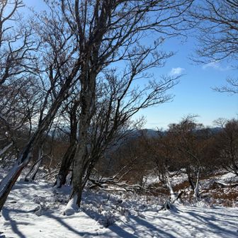 天気が良かったです☀️