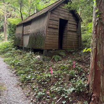 謎の小屋🛖