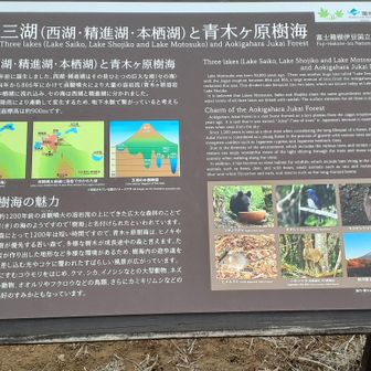 三湖とは？