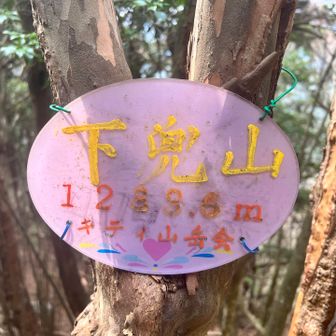 三等三角点にあるプレート