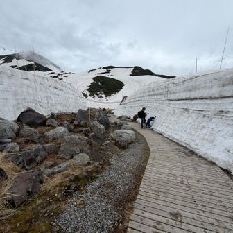 雪の回廊も雪が溶けて、こんな感じに