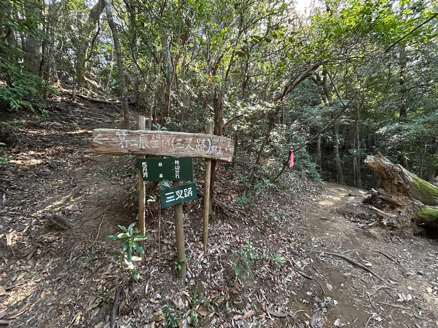 小谷登山口-双石山 往復コースの写真