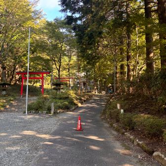 金時神社〜！
スタート地点です♪
鶏放し飼いになってますww