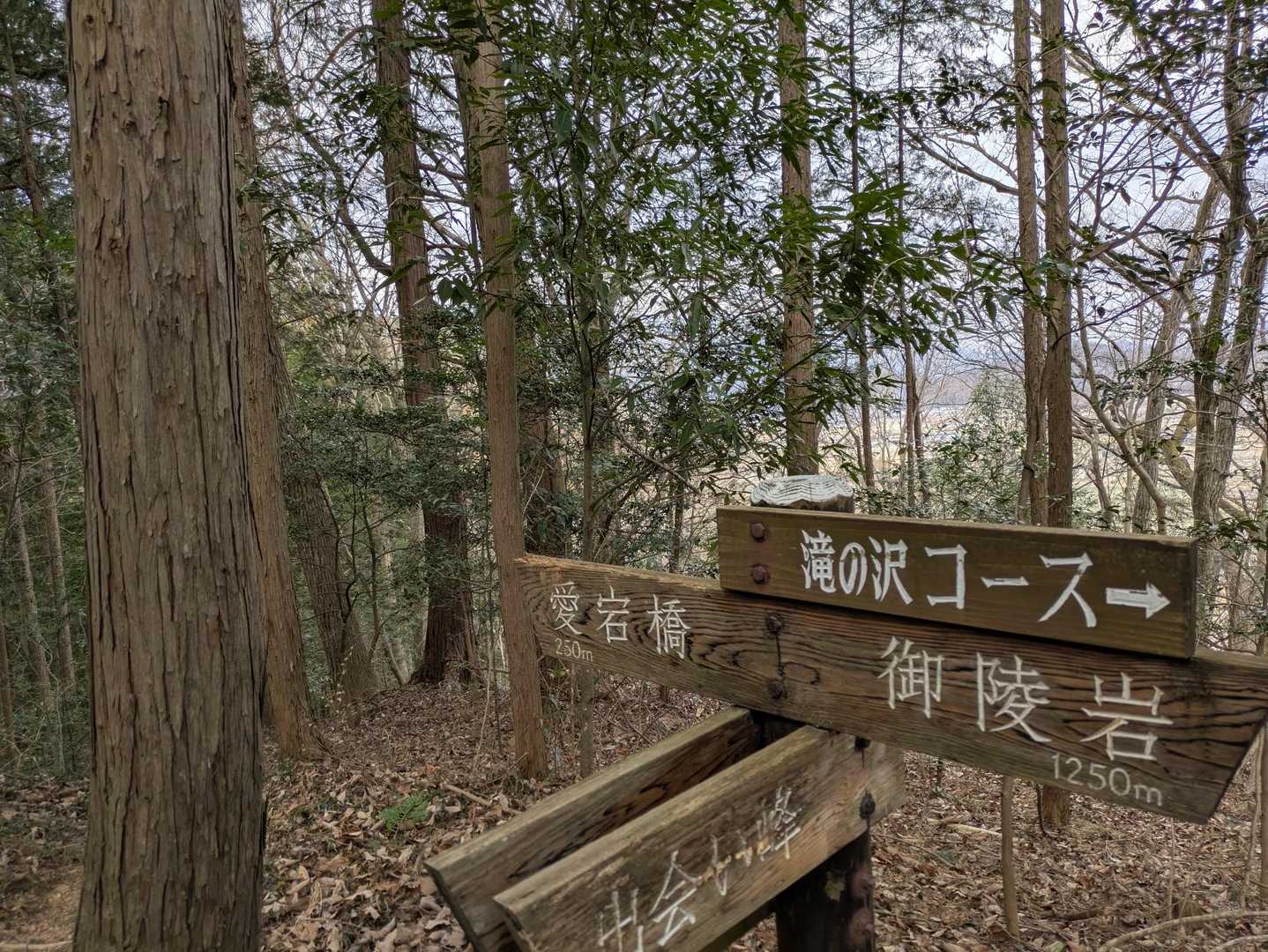 なのにここまで登り返し