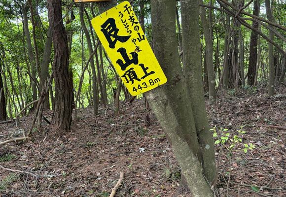艮山（京都・444m）| 登山ルート・天気 | YAMAP / ヤマップ