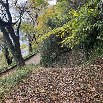 雨が降りそうで、焦って間違え上り、また下り。