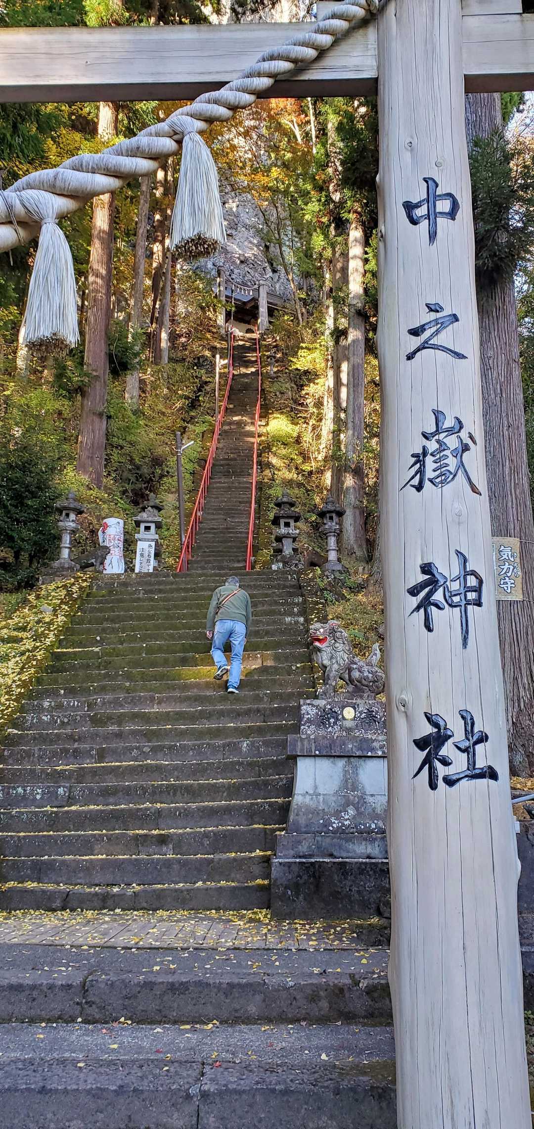 苔むした幅の狭い石階段を一段ずつやっと降りて振り向く😵