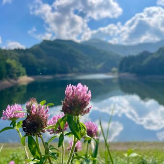 天気良すぎ☀️気温は既に28℃💦