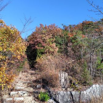 こちらも楽々登山でした。