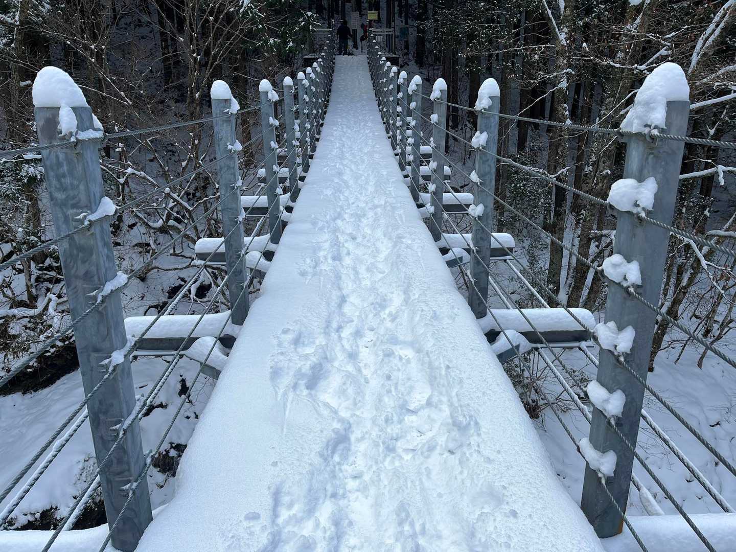 この橋に、こんなに雪が積もってるのも初めて見た😄