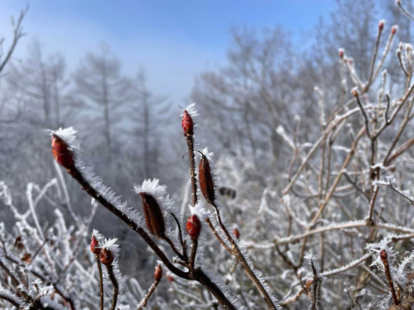杖突峠-守屋山-守谷山立石コース 周回の写真