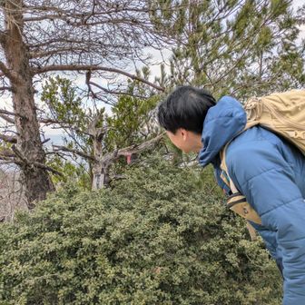 26座✌️プレート遠い