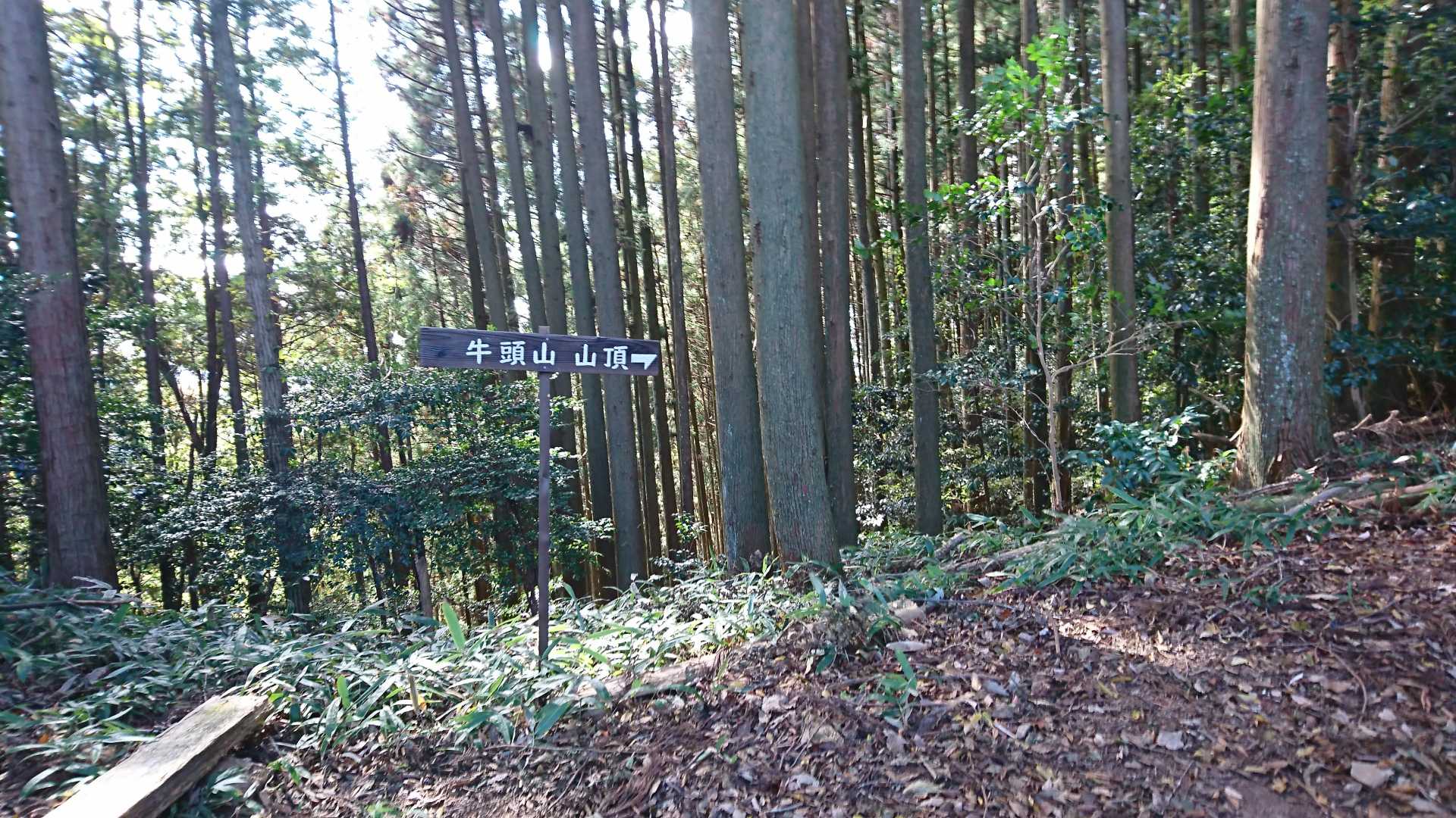 ここはまず、左へ。東峰（飯室牛頭）に向かいます