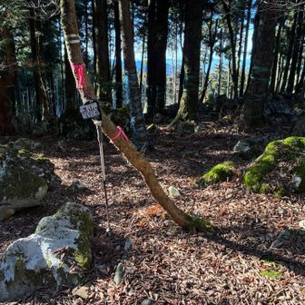 丸山ピーク取る🫳