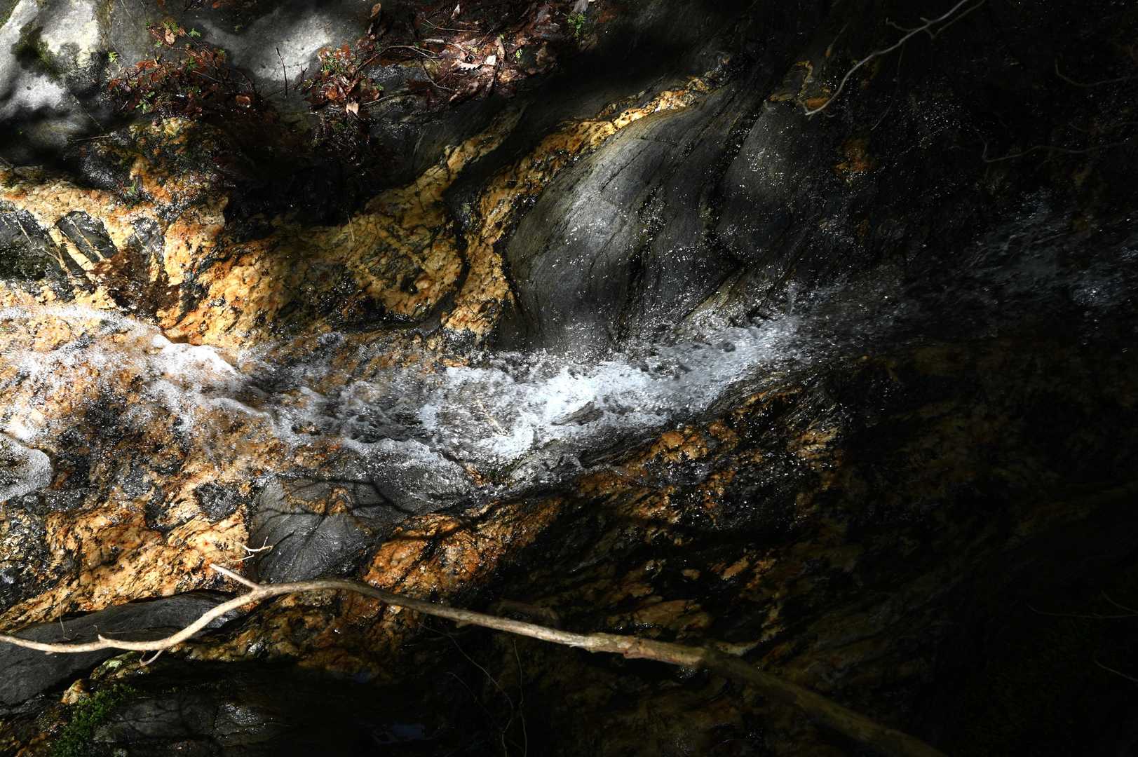 登山道の横を流れる沢の音が心地良い🎵