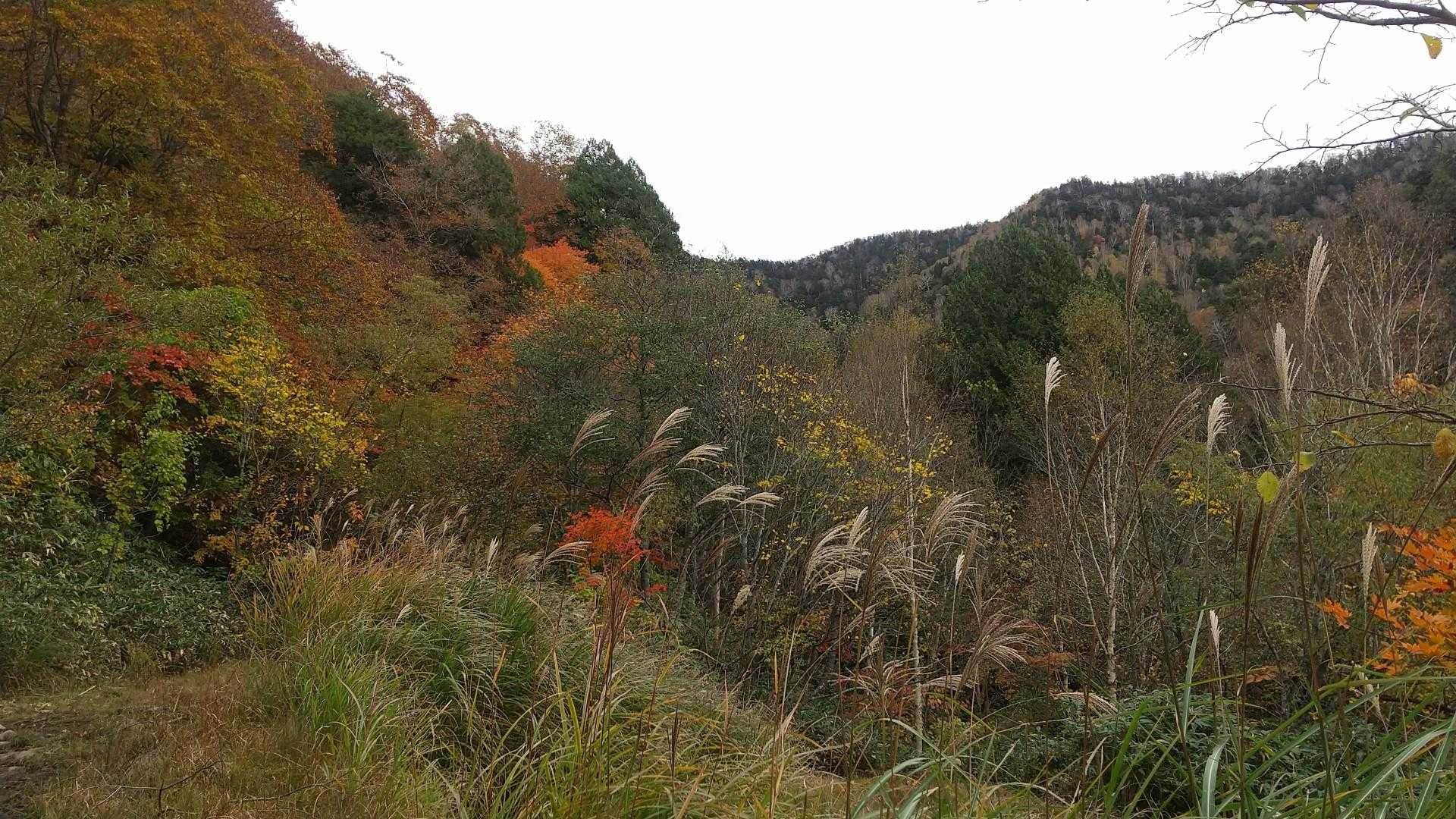 大清水休憩所-一ノ瀬バス停-三平峠-長英新道分岐-俎嵓 往復コースの写真