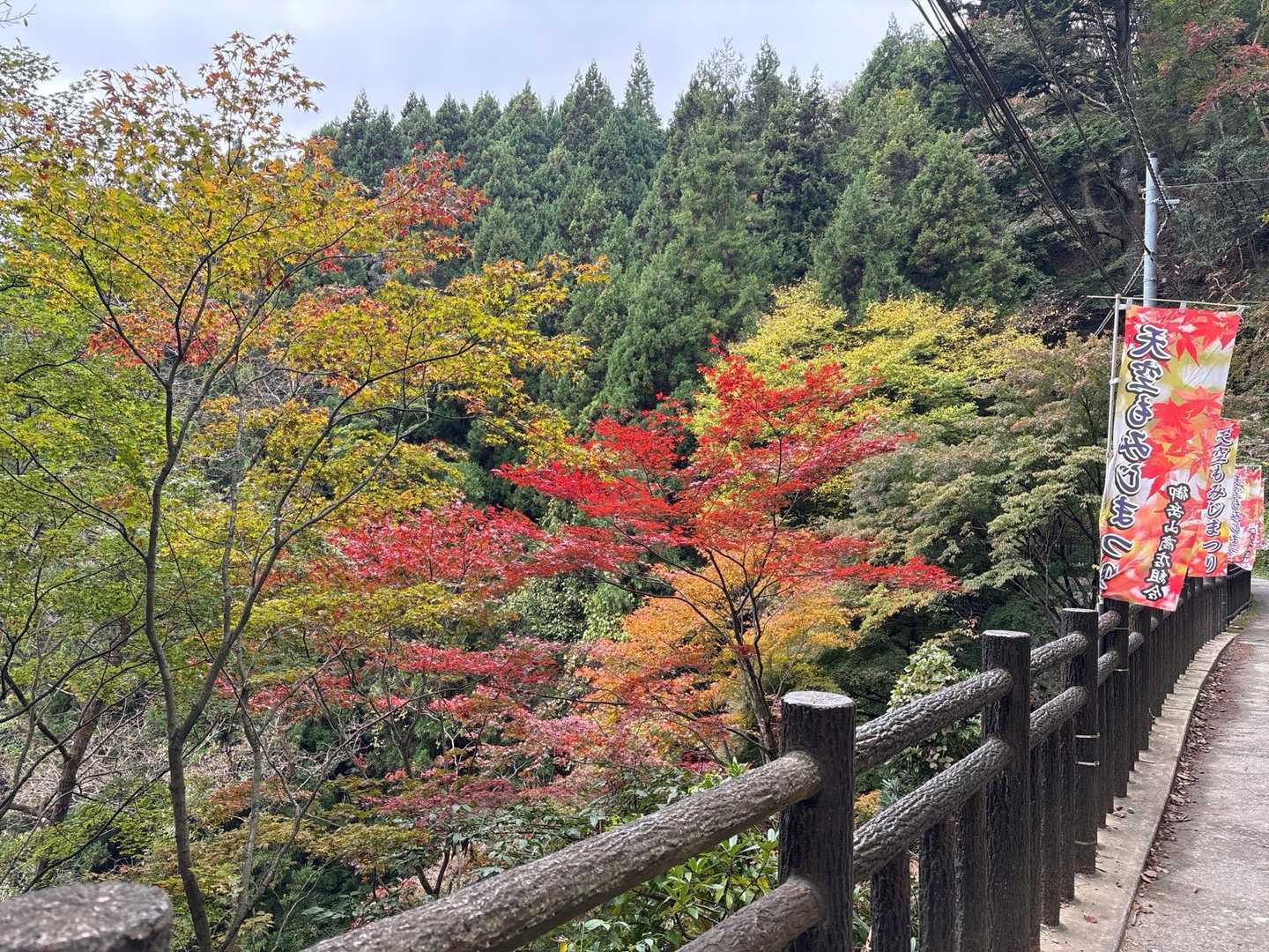行先は御岳山⛰️
久しぶりに来ました。
バスもケーブルカーも凄い人でびっくり😳

紅葉はイマイチです⤵️