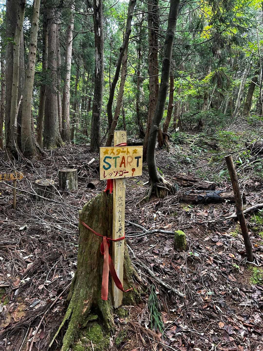 こっちのスタートは初めまして。
1人で来ることは無いだろう…笑