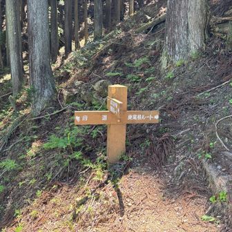 東尾根ルートで帰ります