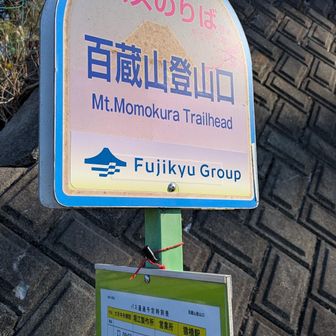 バス停はあるけど、