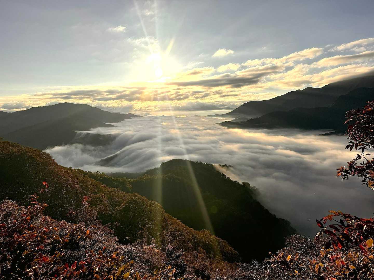 越後駒ヶ岳 往復 | 滝雲が湧く枝折峠から、花や眺望を楽しむ稜線歩きの写真